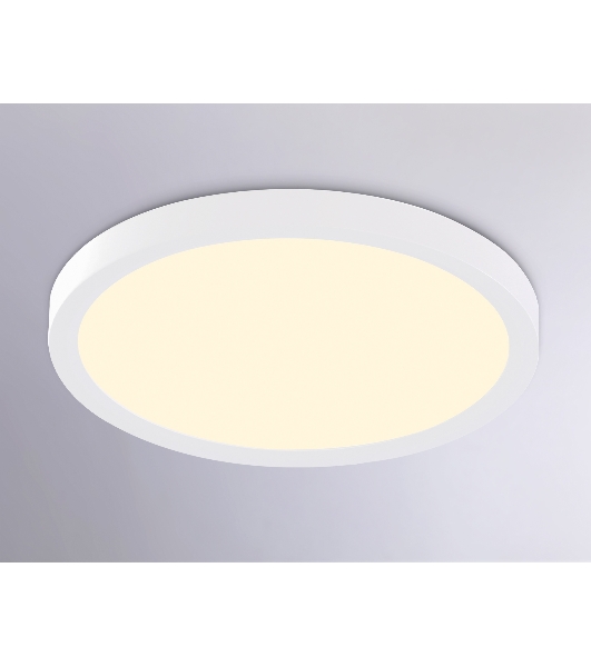 Светильник светодиодный ультратонкий Ambrella light FZ1903 WH белый IP54 20W 3000K-6500K CCT-переключатель D300*25 (Без ПДУ)