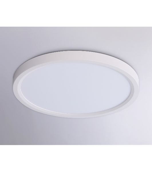 Светильник светодиодный ультратонкий Ambrella light FZ1903 WH белый IP54 20W 3000K-6500K CCT-переключатель D300*25 (Без ПДУ)