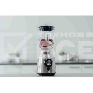 Блендер Zelmer ZSB4850 INOX