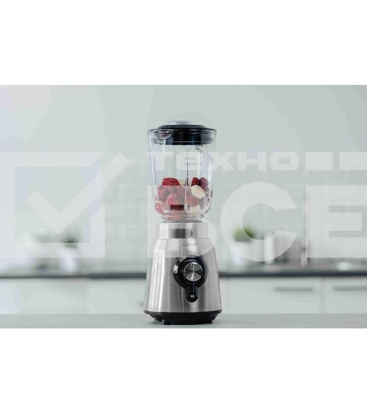 Блендер Zelmer ZSB4850 INOX