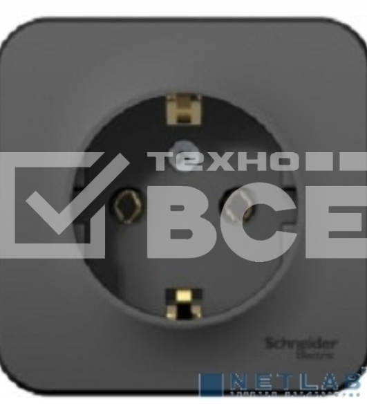 Розетка ОП BLANCA 16А 250В без шторок c заземл. изол. пласт. антрацит SchE BLNRA010116