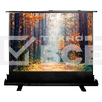 Экран Cactus 135x180см FloorExpert CS-PSFLE-180X135 4:3 напольный рулонный, фото 1