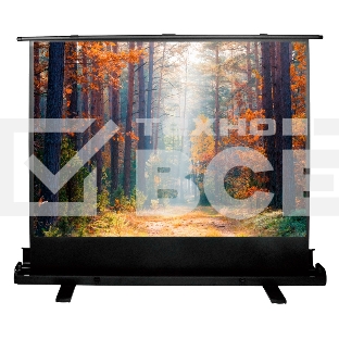 Экран Cactus 135x180см FloorExpert CS-PSFLE-180X135 4:3 напольный рулонный