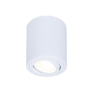 Светильник Ambrella light TN225 WH белый GU5.3 D80*100