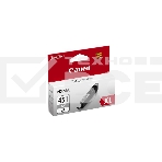 Картридж струйный Canon CLI-451XLGY серый, 780 стр. (повышенной емкости), для PIXMA iP7240, MG5440, 6340, фото2