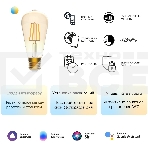 Лампа светодиодная филаментная Gauss Smart Home DIM+CCT E27 ST64 Golden 6,5 Вт 2000-5500 К 1/10/40, фото10