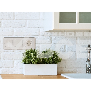 Розетка 2К+З немецкий стандарт 16А 250В с зарядным устройством USB C 1.5А 5В слоновая кость