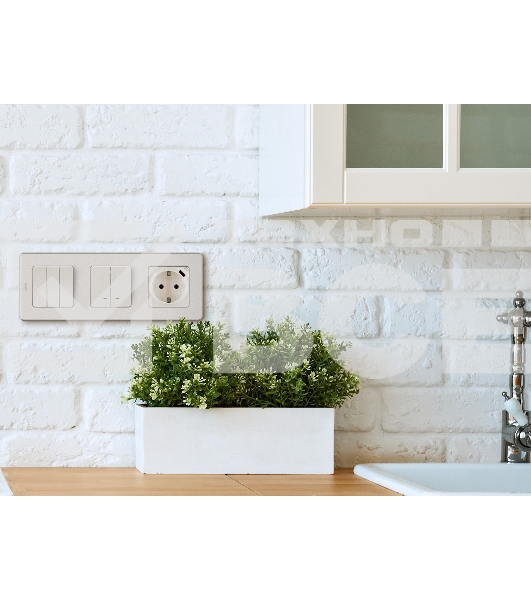 Розетка 2К+З немецкий стандарт 16А 250В с зарядным устройством USB C 1.5А 5В слоновая кость