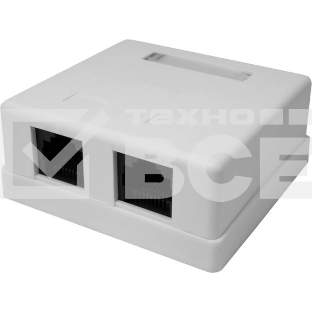 Розетка компьютерная 2-м 8P8C (RJ-45) UTP кат.5E SUPRLAN 10-0309