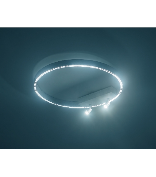 Потолочный светодиодный светильник Ambrella light FL5807/1+2 WH белый 40W 3000K/4200K/6400K D600*95 (без ПДУ)