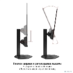 Монитор с аудио 23.8' 100 Гц ExeGate ProSmart EH2400C (IPS LED Grade A+, FHD, 1920x1080@100Гц, 16:9, 250cd/m2, 1000:1, 178°/178°, 3-5ms, audio-out, Speakers, D-Sub, HDMI, DisplayPort, кабель HDMI 1,5м, VESA, регулировка высоты (HAS), регулировка наклона (tilt), поворот экрана (swivel), поворот экрана на 90° (pivot), чёрный), фото13