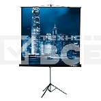 Экран на штативе Lumien Master View 244x244 см Matte White FiberGlass (LMV-100105), фото2