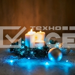 Новогодние светоукрашения NEON-NIGHT (303-003) Гирлянда светодиодная 