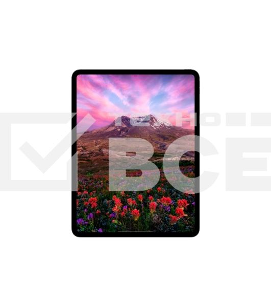 Планшет Apple iPad Pro 2024 A2836 11