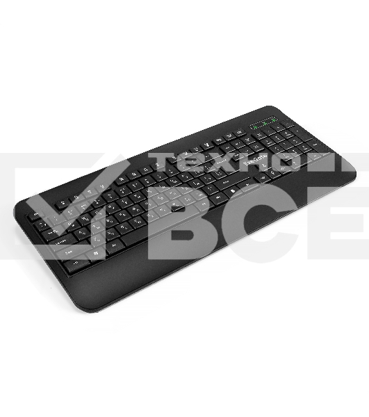 Клавиатура ExeGate Professional Standard LY-E5500M проводная, USB, чёрный