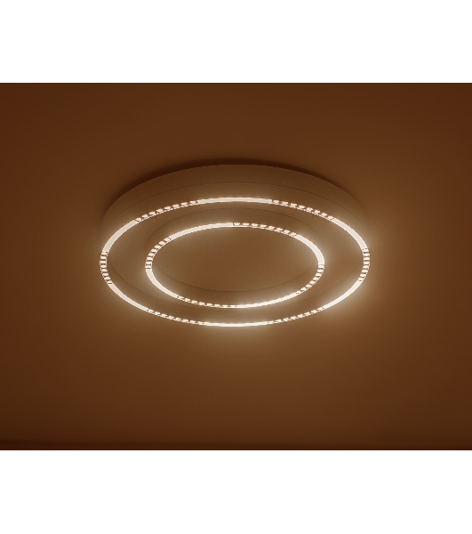 Потолочный светодиодный светильник Ambrella light FL5821 WH белый 55W 3000K/4200K/6400K D600*75 (без ПДУ)