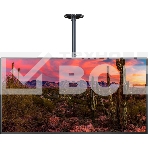 Кронштейн для телевизора Cactus CS-CP04-R черный 37