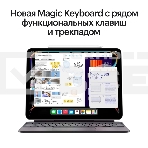 Планшет Apple iPad Pro 2024 A2836 11