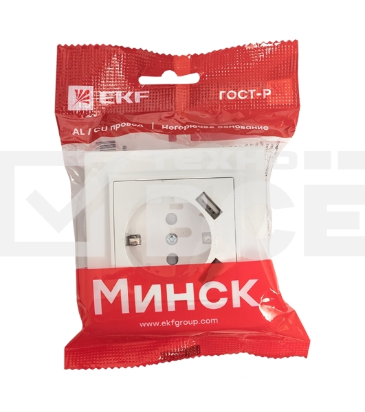 Розетка 1-местная СП с/з 16А белая с защ. штор. с 2 USB 2,1А EKF Минск