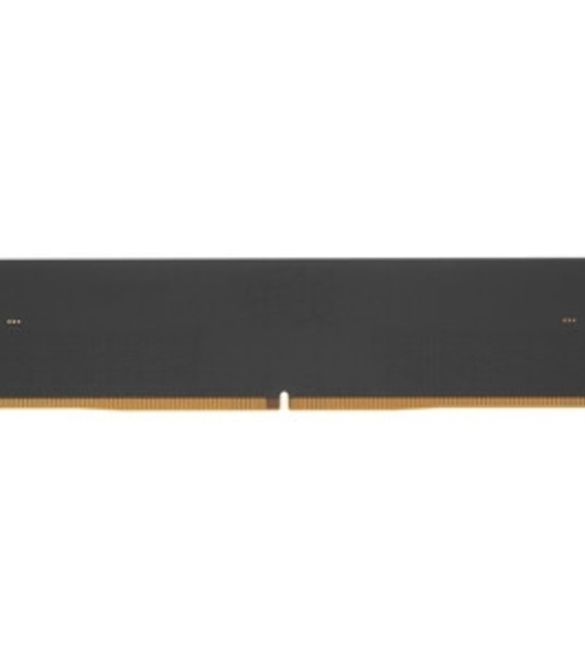 Оперативная память Patriot Signature, DDR5, 16GB (1x16 GB), 4800 MHz, CL40, DIMM