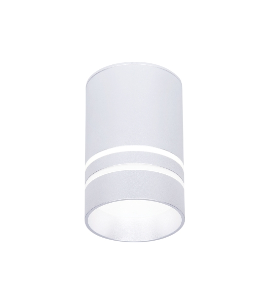 Светильник Ambrella light TN236 SL/S серебро/песок LED 4200K 5W D60*100