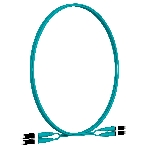 Патч-корд Panduit FZ2ELLNLNSNM002 2x50/125 OM4 LC дуплекс-LC дуплекс 2м LSZH аквамарин, фото 1