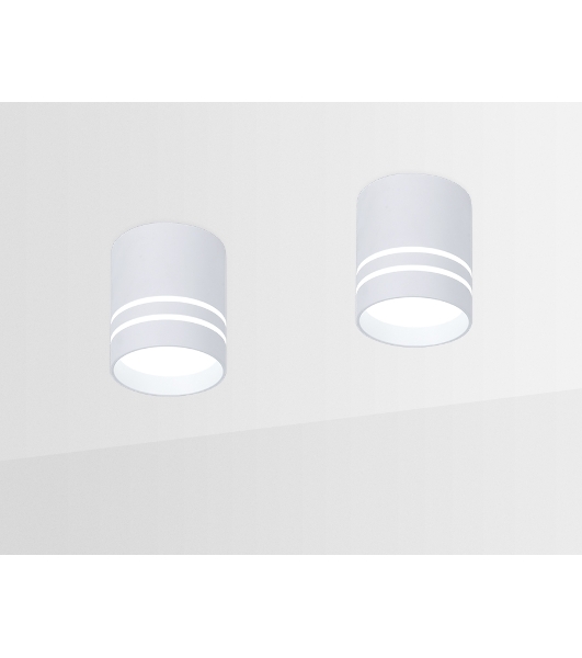 Накладной светодиодный точечный светильник TN240 WH/S белый/песок LED 4200K 12W D80*100