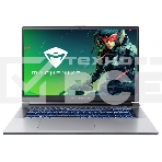 Ноутбук Machenike L17 Pulsar, серебристый JJ00G600ERU 17.3