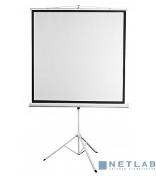 Экран 180x180см Digis Kontur-D DSKD-1105 1:1 напольный рулонный
