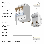 Автоматический выключатель Werkel 3P 63 A C 6 kА W903P636, фото 1