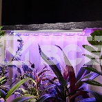 Светильник светодиодный для растений Rexant Green line 14 Вт LED с комплектом креплений, фото2