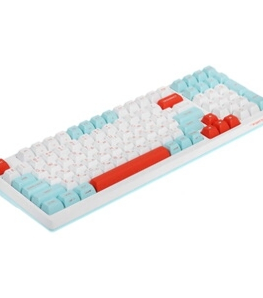 Клавиатура проводная A4Tech Fstyler FS300 (FS300 PANDA SNOWBOARDING), USB, белый/синий