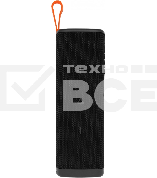 Беспроводная портативная колонка Xiaomi S29D Sound Outdoor 30W черный