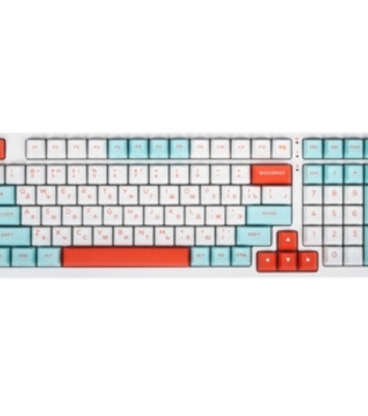 Клавиатура проводная A4Tech Fstyler FS300 (FS300 PANDA SNOWBOARDING), USB, белый/синий