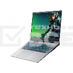 Ноутбук Machenike L17 Pulsar, серебристый JJ00G600ERU 17.3