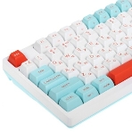 Клавиатура проводная A4Tech Fstyler FS300 (FS300 PANDA SNOWBOARDING), USB, белый/синий, фото20