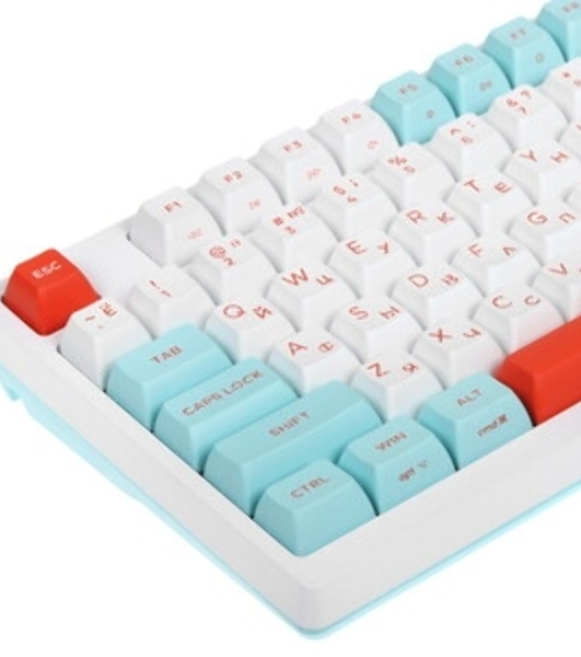 Клавиатура проводная A4Tech Fstyler FS300 (FS300 PANDA SNOWBOARDING), USB, белый/синий