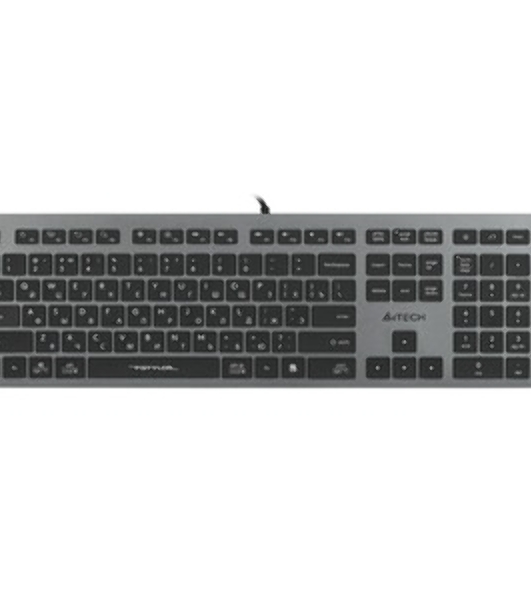 Клавиатура проводная A4Tech Fstyler FX60 серый/белый