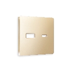 Лицевая панель ALFA (Шампань) для розетки 2USB тип A+C QUANT AP6110, фото 1
