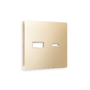 Лицевая панель ALFA (Шампань) для розетки 2USB тип A+C QUANT AP6110