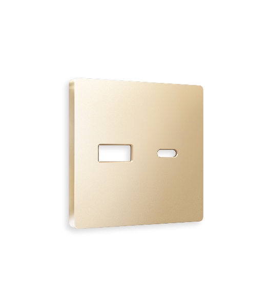 Лицевая панель ALFA (Шампань) для розетки 2USB тип A+C QUANT AP6110