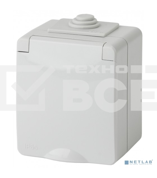 Розетка ЭРА 11-2601-03 2P+E IP65, 16A-250В, ОУ, серый