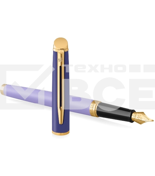 Ручка перьевая Waterman Hemisphere Colour Blocking (2179900) Purple GT сталь нержавеющая/позолота F подар.кор.
