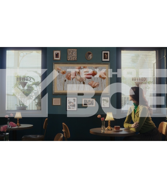 Телевизор Skyworth 55