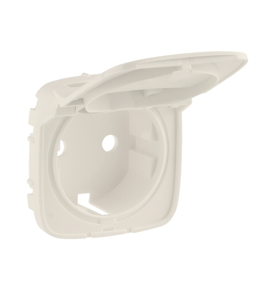 Накладка розетки с/з с крышкой | 754846 | Legrand Valena ALLURE Сл.кость