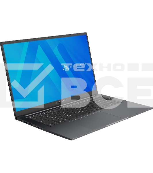 Ноутбук Maibenben P725 серый P7251SF0LGRE0 17.3