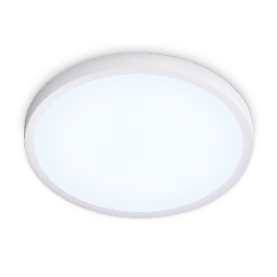 Светильник светодиодный ультратонкий Ambrella light FZ1951 WH белый IP54 20W 5000K D270*15 (Без ПДУ)