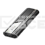 Внешний  накопитель SSD Netac USB-C 500Gb NT01ZX10-500G-32BK ZX10 2.5