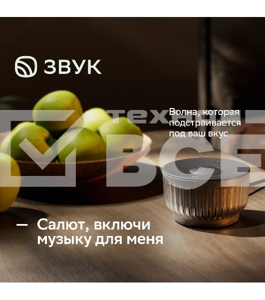 Умная колонка Sber Boom Mini 2 SBDV-00250A Салют черный 5W Mono BT/Wi-Fi