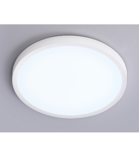 Светильник светодиодный ультратонкий Ambrella light FZ1951 WH белый IP54 20W 5000K D270*15 (Без ПДУ)